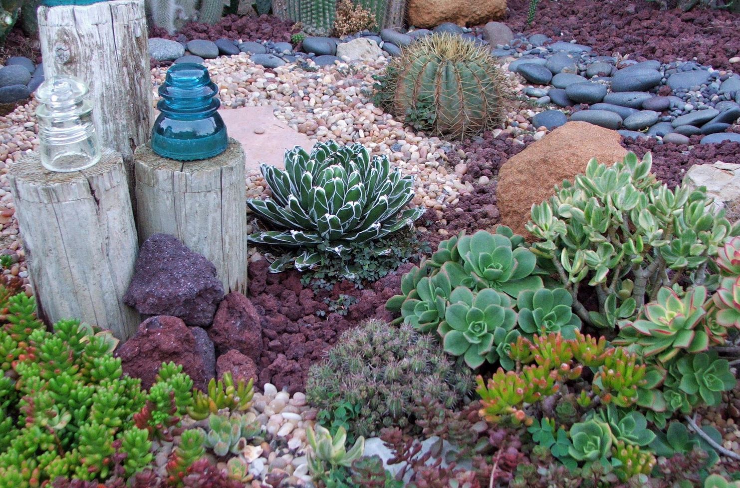 drought resistant landscaping